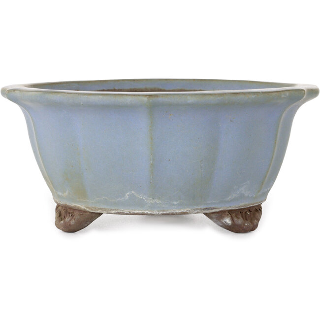 Maceta de bonsái azul loto de Yamaaki - 225 x 225 x 100 mm