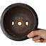 Round blue and brown bonsai pot - 158 x 158 x 65 mm