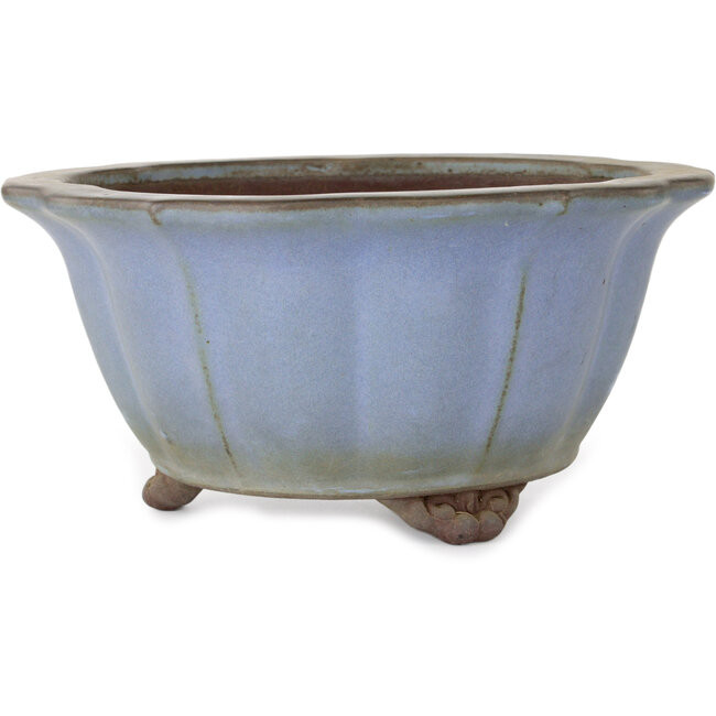 Vaso bonsai Lotus blu di Yamaaki - 280 x 280 x 137 mm