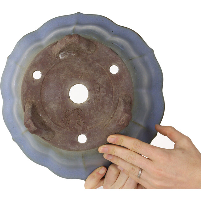 Maceta de bonsái azul loto de Yamaaki - 280 x 280 x 137 mm