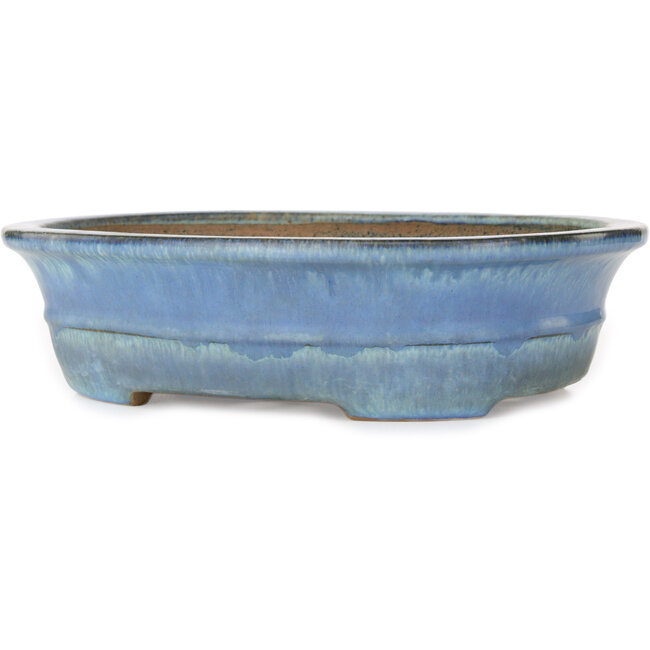 Ovaler blauer Bonsai-Topf von Yamafusa - 283 x 235 x 78 mm