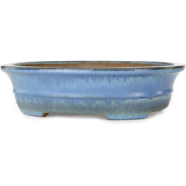 Vaso bonsai ovale blu di Yamafusa - 283 x 235 x 78 mm