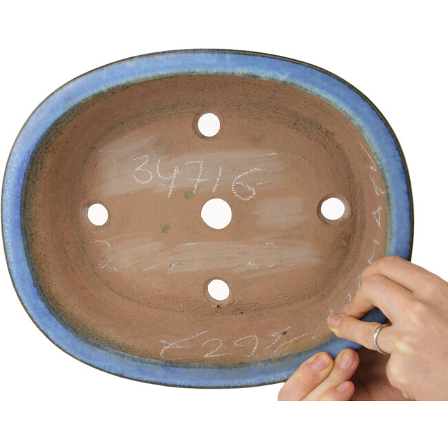 Maceta ovalada azul para bonsái de Yamafusa - 283 x 235 x 78 mm
