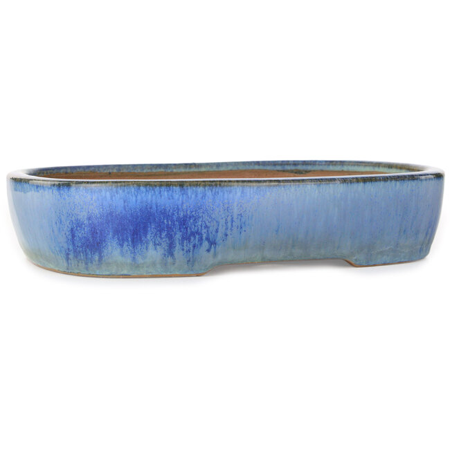 Maceta ovalada azul para bonsái de Yamafusa - 287 x 222 x 57 mm