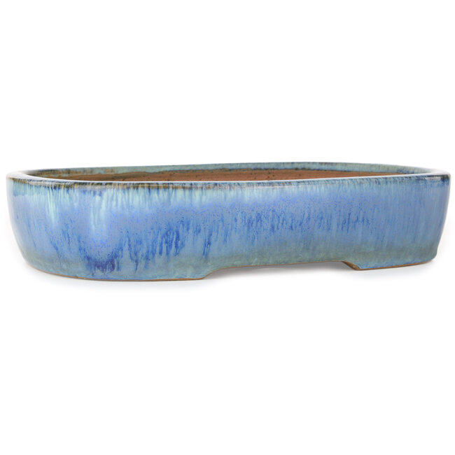 Oval blue bonsai pot by Yamafusa - 287 x 222 x 57 mm