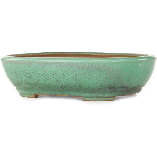 Ovale groene bonsaipot van Yamafusa - 280 x 235 x 70 mm
