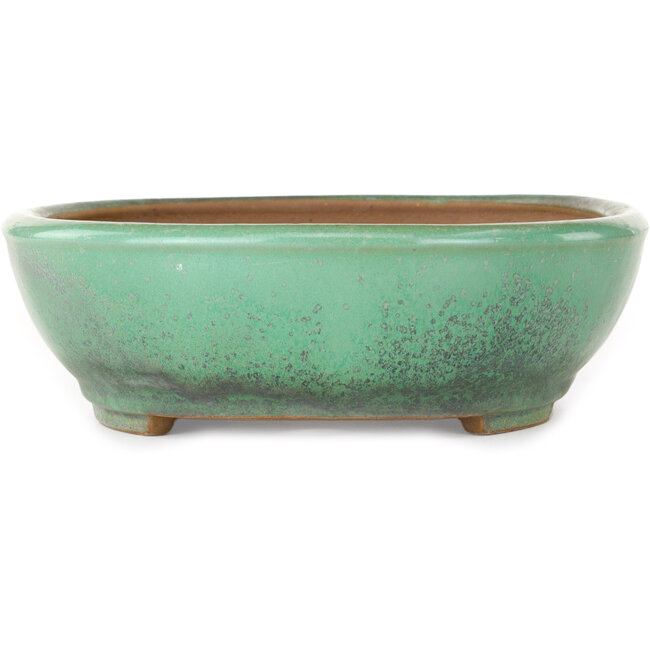 Ovale groene bonsaipot van Yamafusa - 280 x 235 x 70 mm