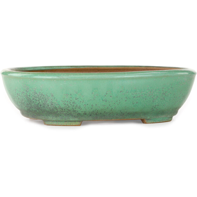 Maceta ovalada verde para bonsái de Yamafusa - 280 x 235 x 70 mm