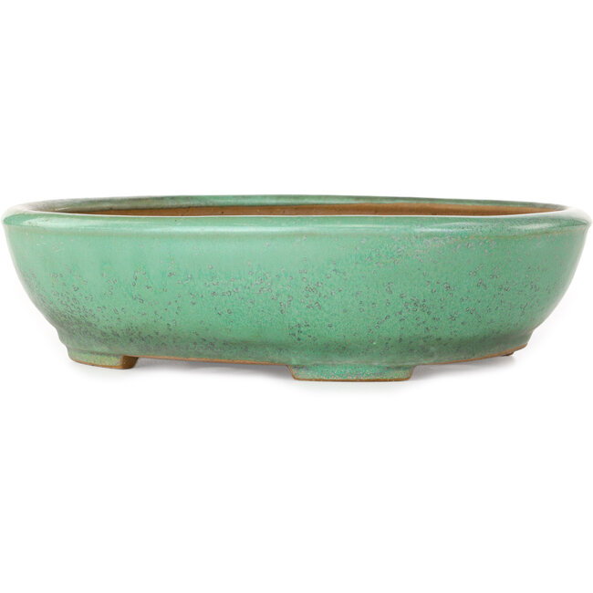 Maceta ovalada verde para bonsái de Yamafusa - 280 x 235 x 70 mm