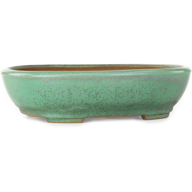 Ovale groene bonsaipot van Yamafusa - 280 x 235 x 70 mm