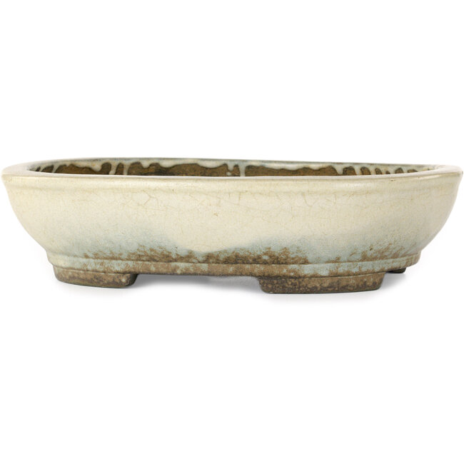 Ovaler beiger Bonsaitopf von Aiba Koyou – 307 x 250 x 69 mm