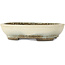 Ovaler beiger Bonsaitopf von Aiba Koyou – 307 x 250 x 69 mm