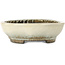 Ovaler beiger Bonsaitopf von Aiba Koyou – 307 x 250 x 69 mm