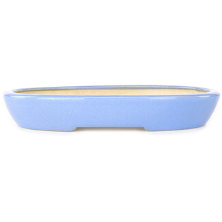 Koyou 250 mm blaue Bonsaischale von Aiba Koyou, Tokoname, Japan