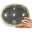 Ovaler beiger Bonsaitopf von Aiba Koyou – 307 x 250 x 69 mm