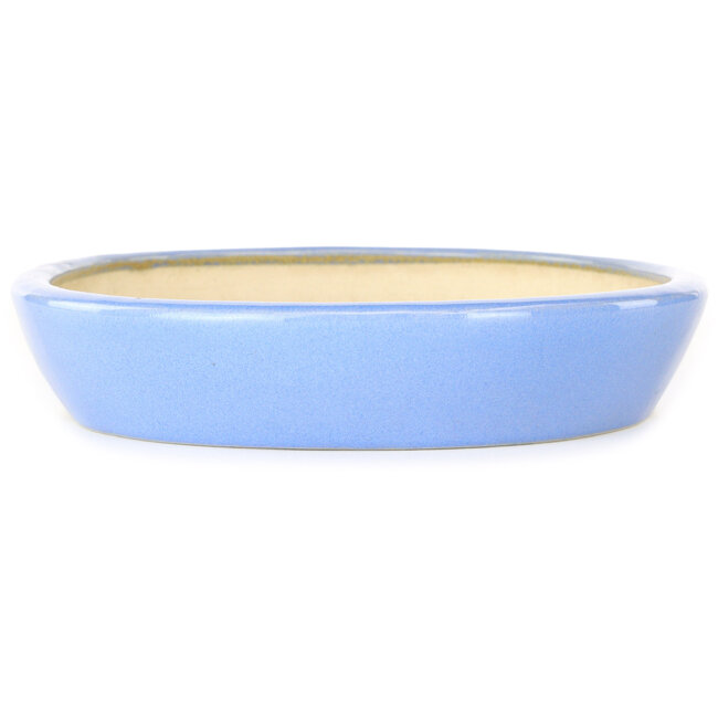 Oval blue bonsai pot by Aiba Koyou - 250 x 205 x 40 mm
