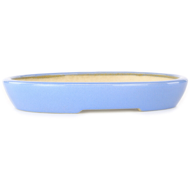 Pot à bonsaï ovale bleu par Aiba Koyou - 250 x 205 x 40 mm
