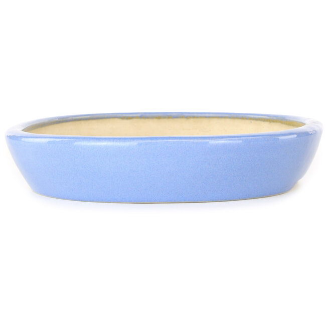 Vaso bonsai ovale blu di Aiba Koyou - 250 x 205 x 40 mm