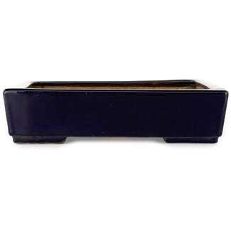  Hattori Tomoyuki Donkerblauwe bonsaipot van 207 mm van Hattori, Tokoname, Japan