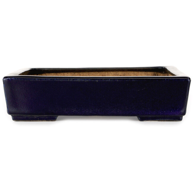 Pot à bonsaï carré bleu foncé de Hattori - 207 x 207 x 53 mm