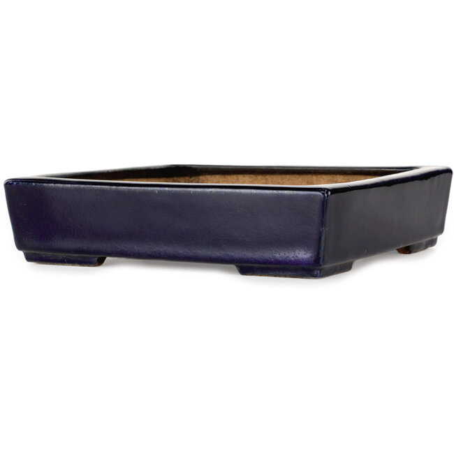 Square dark blue bonsai pot by Hattori - 207 x 207 x 53 mm