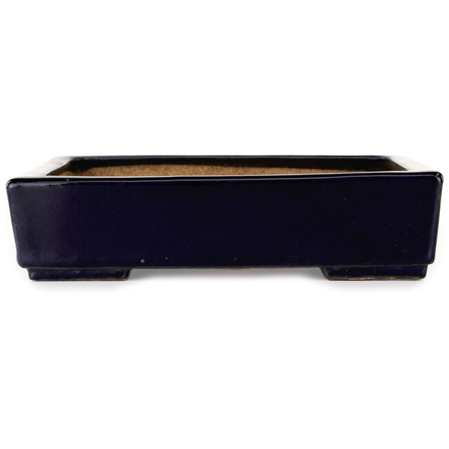 Maceta cuadrada azul oscuro para bonsái de Hattori - 207 x 207 x 53 mm