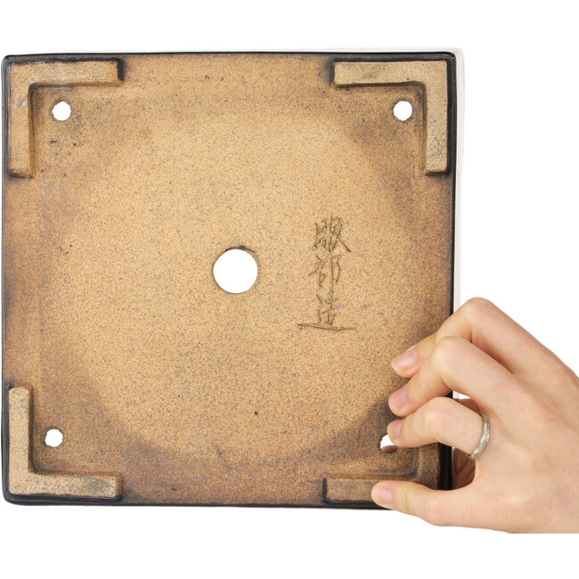 Pot à bonsaï carré bleu foncé de Hattori - 207 x 207 x 53 mm