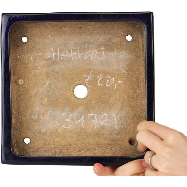 Pot à bonsaï carré bleu foncé de Hattori - 207 x 207 x 53 mm