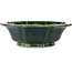 Lotusgroene bonsaipot van Mazan - 343 x 343 x 105 mm