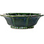 Lotusgroene bonsaipot van Mazan - 343 x 343 x 105 mm