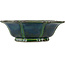 Vaso bonsai verde loto di Mazan - 300 x 300 x 100 mm