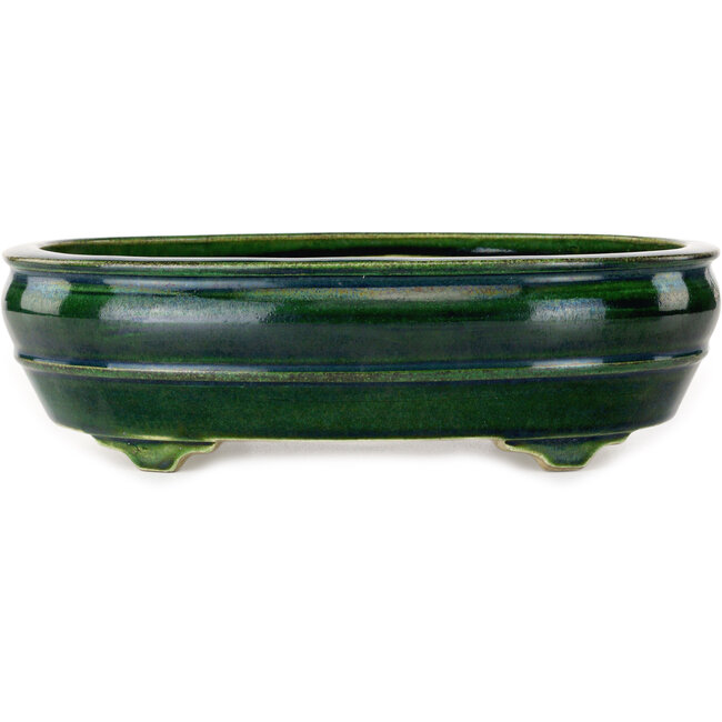 Maceta ovalada verde para bonsái de Mazan - 290 x 215 x 85 mm