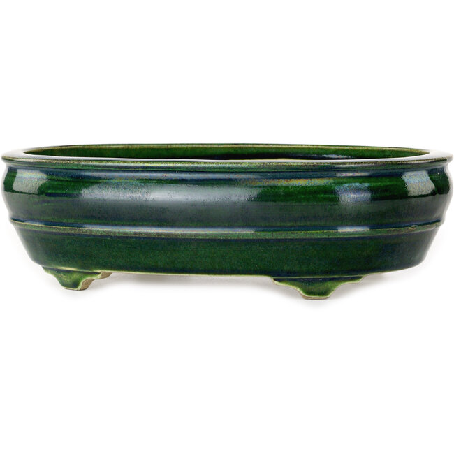 Maceta ovalada verde para bonsái de Mazan - 290 x 215 x 85 mm