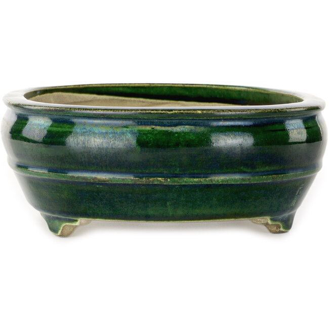 Maceta ovalada verde para bonsái de Mazan - 290 x 215 x 85 mm