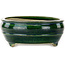 Ovale groene bonsaipot van Mazan - 290 x 215 x 85 mm