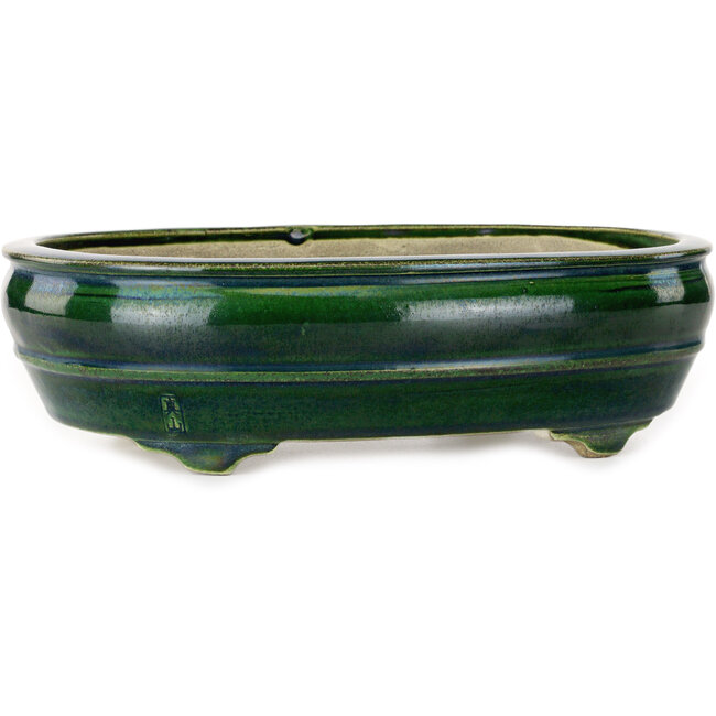 Ovale groene bonsaipot van Mazan - 290 x 215 x 85 mm