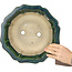 Lotusgrüner Bonsaitopf von Mazan - 300 x 300 x 100 mm