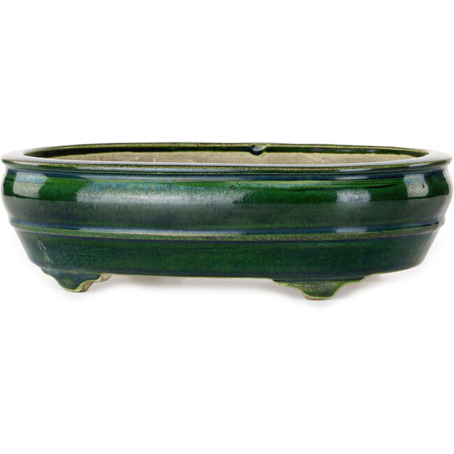 Ovale groene bonsaipot van Mazan - 290 x 215 x 85 mm