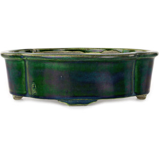  Satomi Mazan, Mazan Terahata 250 mm grüne Bonsaischale von Mazan, Tokoname, Japan