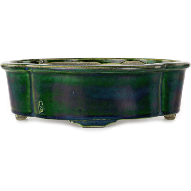 Maceta para bonsai Mokko verde de Mazan - 250 x 215 x 75 mm