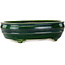 Maceta ovalada verde para bonsái de Mazan - 290 x 215 x 85 mm