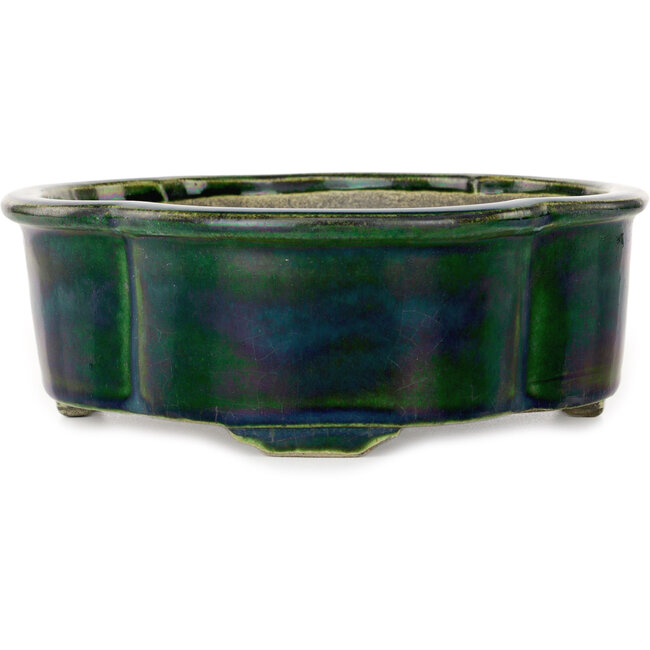 Pot à bonsaï vert Mokko par Mazan - 250 x 215 x 75 mm