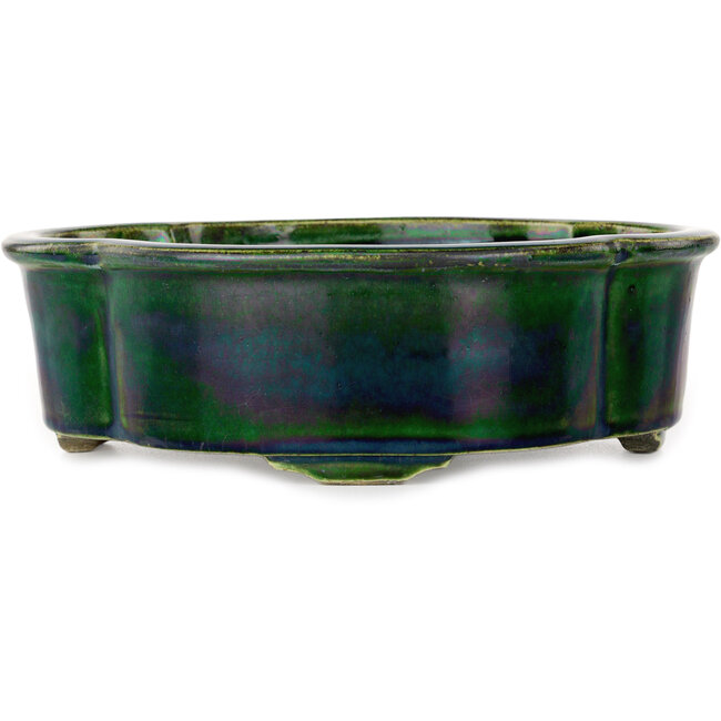 Pot à bonsaï vert Mokko par Mazan - 250 x 215 x 75 mm