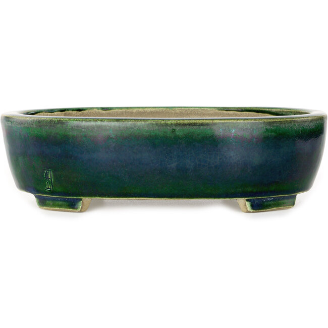 Maceta ovalada verde para bonsái de Mazan - 252 x 210 x 70 mm