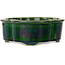 Mokko grüner Bonsaitopf von Mazan – 250 x 215 x 75 mm