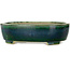 Maceta ovalada verde para bonsái de Mazan - 252 x 210 x 70 mm