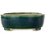 Maceta ovalada verde para bonsái de Mazan - 252 x 210 x 70 mm