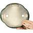 Mokko grüner Bonsaitopf von Mazan – 250 x 215 x 75 mm