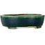 Maceta ovalada verde para bonsái de Mazan - 252 x 210 x 70 mm