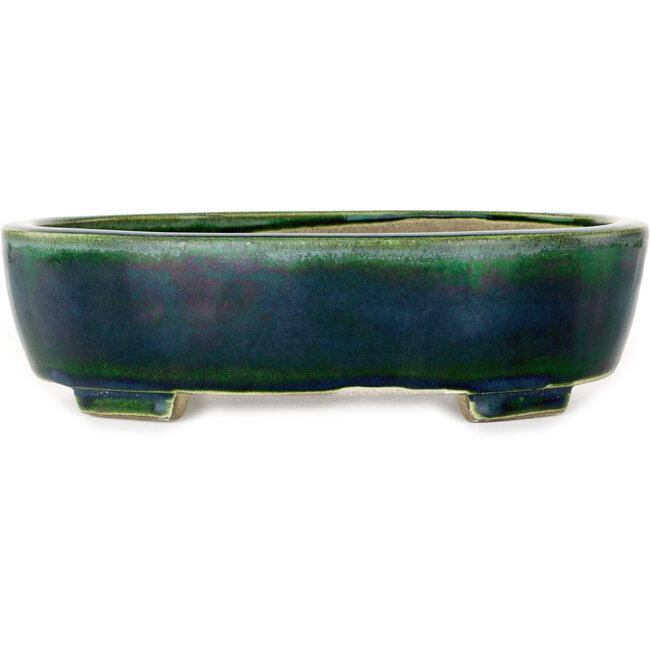 Maceta ovalada verde para bonsái de Mazan - 252 x 210 x 70 mm